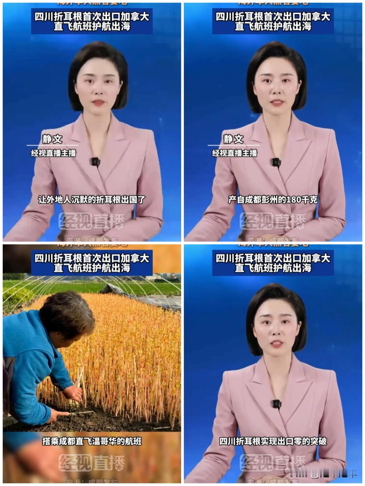 是哪里的媒体。让西南f4不语一下。呵呵恭喜😱折耳根是什么意思！四川折耳根首次