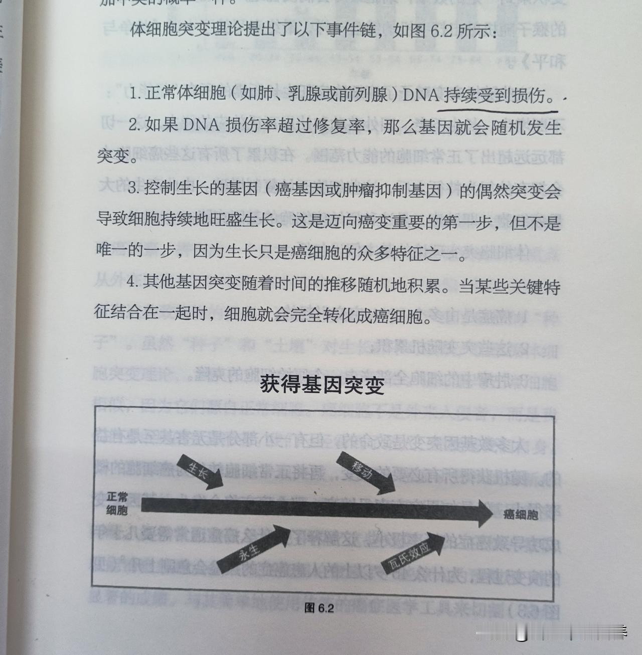 抗癌食物在我们的日常饮食里美国国家癌症研究所（NCI）研究人员最近的一项研究