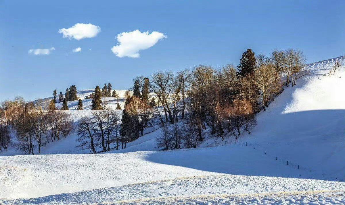 冬季的新疆·那拉提，就是一幅水墨丹青的画卷，醉了游人，醉了摄影师……