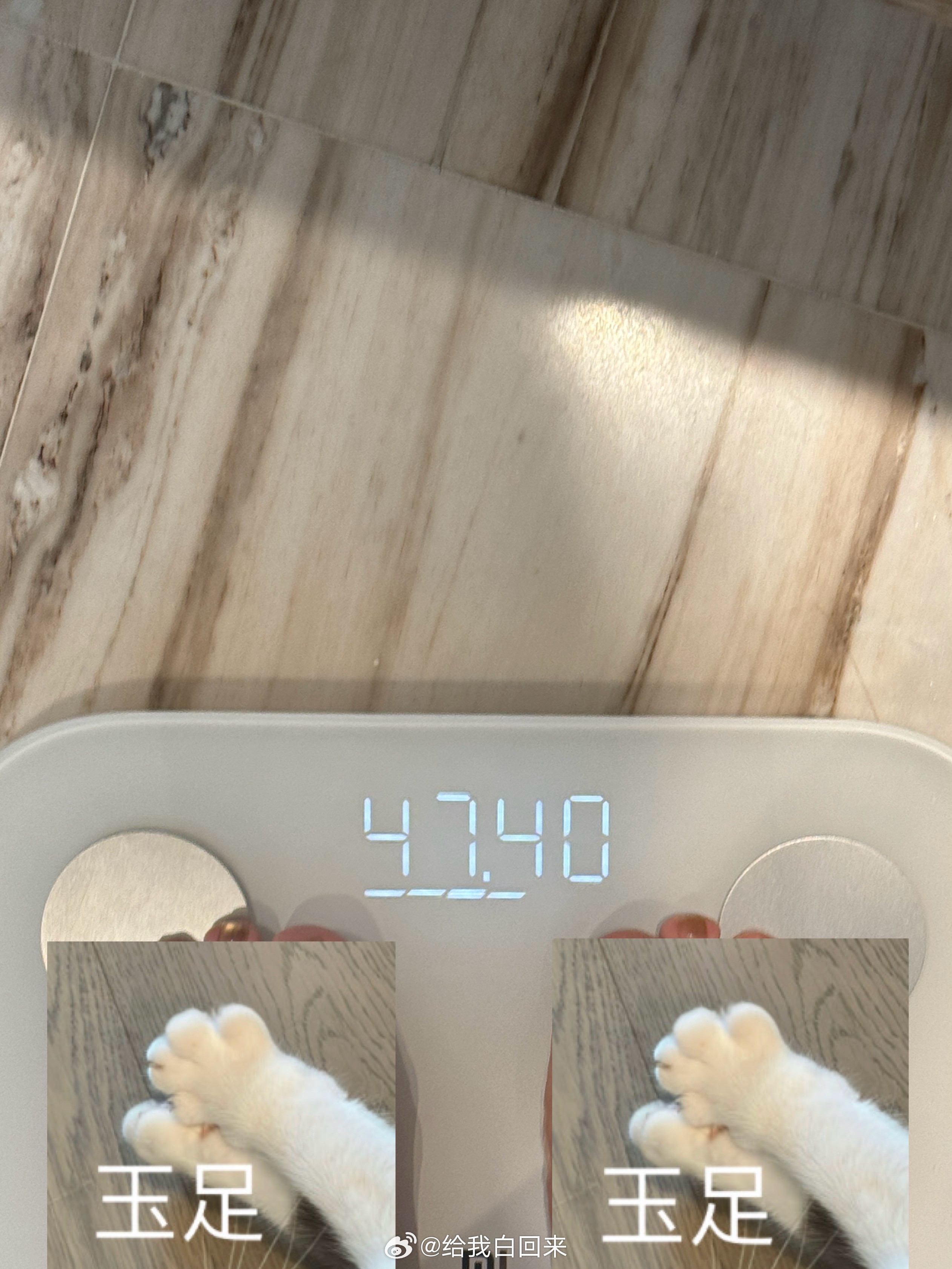 体重又降了些🌚最近好想剪这个发型啊啊啊​​​