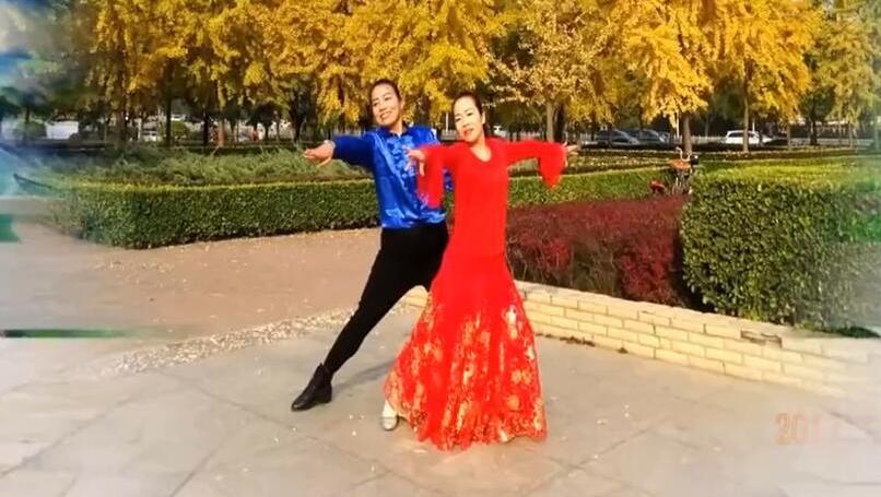 规范交谊舞蝴蝶布鲁斯1[快乐舞蹈]qq群选播群