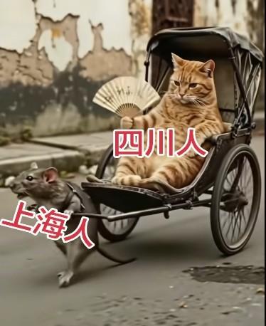 我反对搞地域对立，却忍不住为这个创作者点赞实话实说，这幅图确实创意够好，我给他