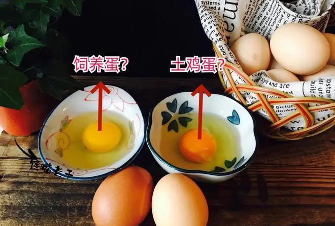 俺家那位总念叨土鸡蛋金贵，我寻思这不就是母鸡下的套娃把戏？上周脑门一热，菜市场拎