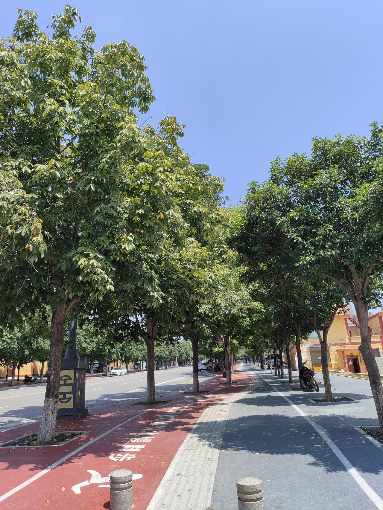 1. 夏日街道绿树成荫，阳光洒落一地树影，小城平淡的烟火时光。​2. 走在绿