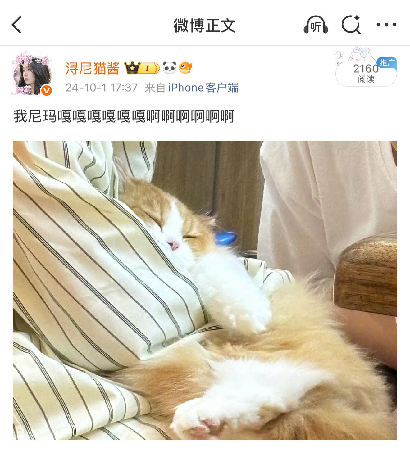 好想念这只小猫​​​