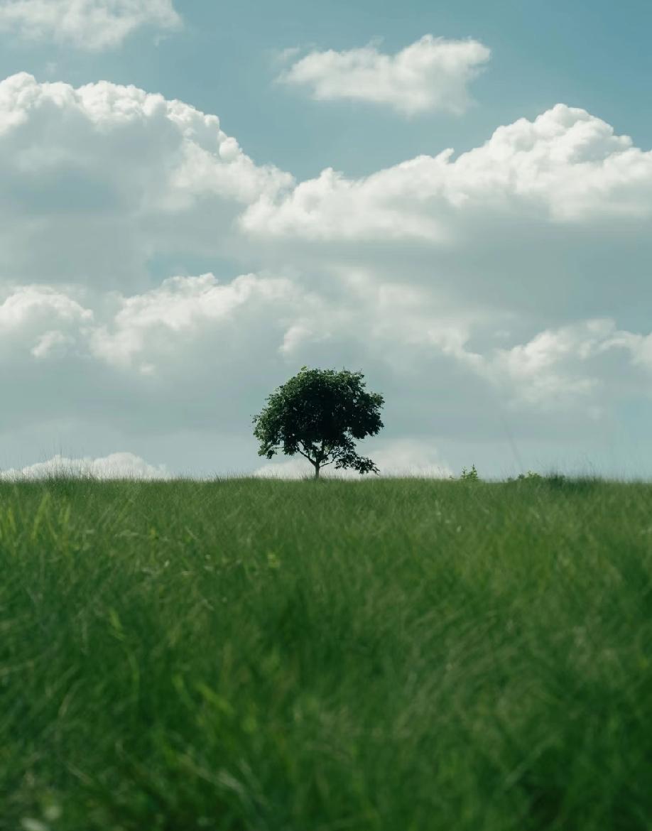 前几天在网上看到一个女生的提问，她说：“我爸我妈养我20多年，供我上大学，花了3