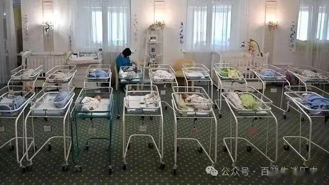 赴美生子曾经很流行，5年暴涨了20倍，现在这些孩子怎么样了？十几年前，“赴美生子