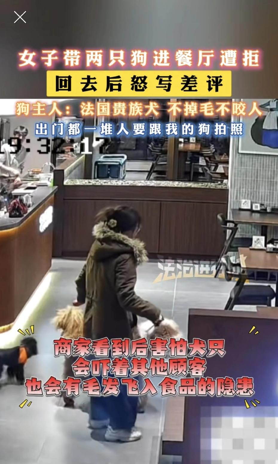 你喜欢不代表别人也喜欢！江苏一女子带着两条狗进入餐厅遭拒：“我的狗是法国贵族，你