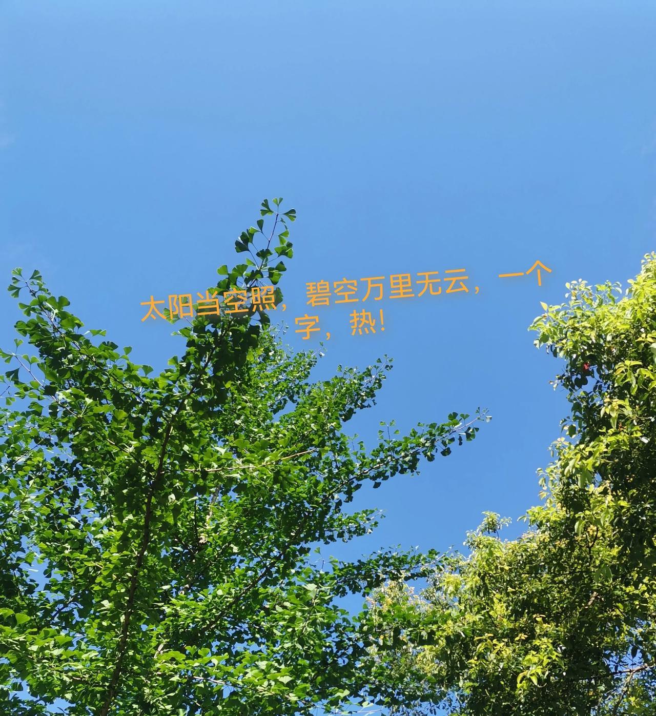 老公说婆婆今天会搭舅舅的车下来。本不想问，但实在忍不住，我说：下来干嘛？老公