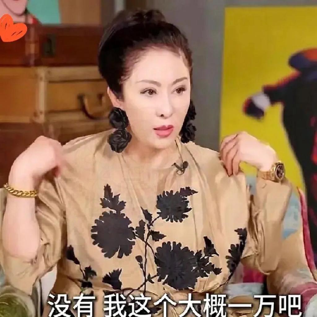 太讽刺了！向太摸着自己身上的衣服说：‘我现在不追求奢侈品牌了，我身上这件衣服