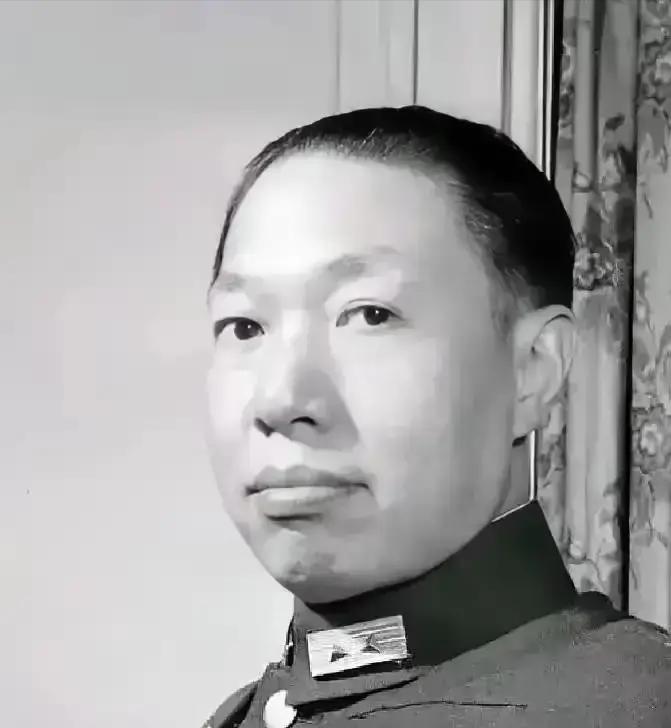 杨永泰身为蒋介石的首席谋士，他早早离世，着实可说是中国人民的福气。杨永泰犯下三宗