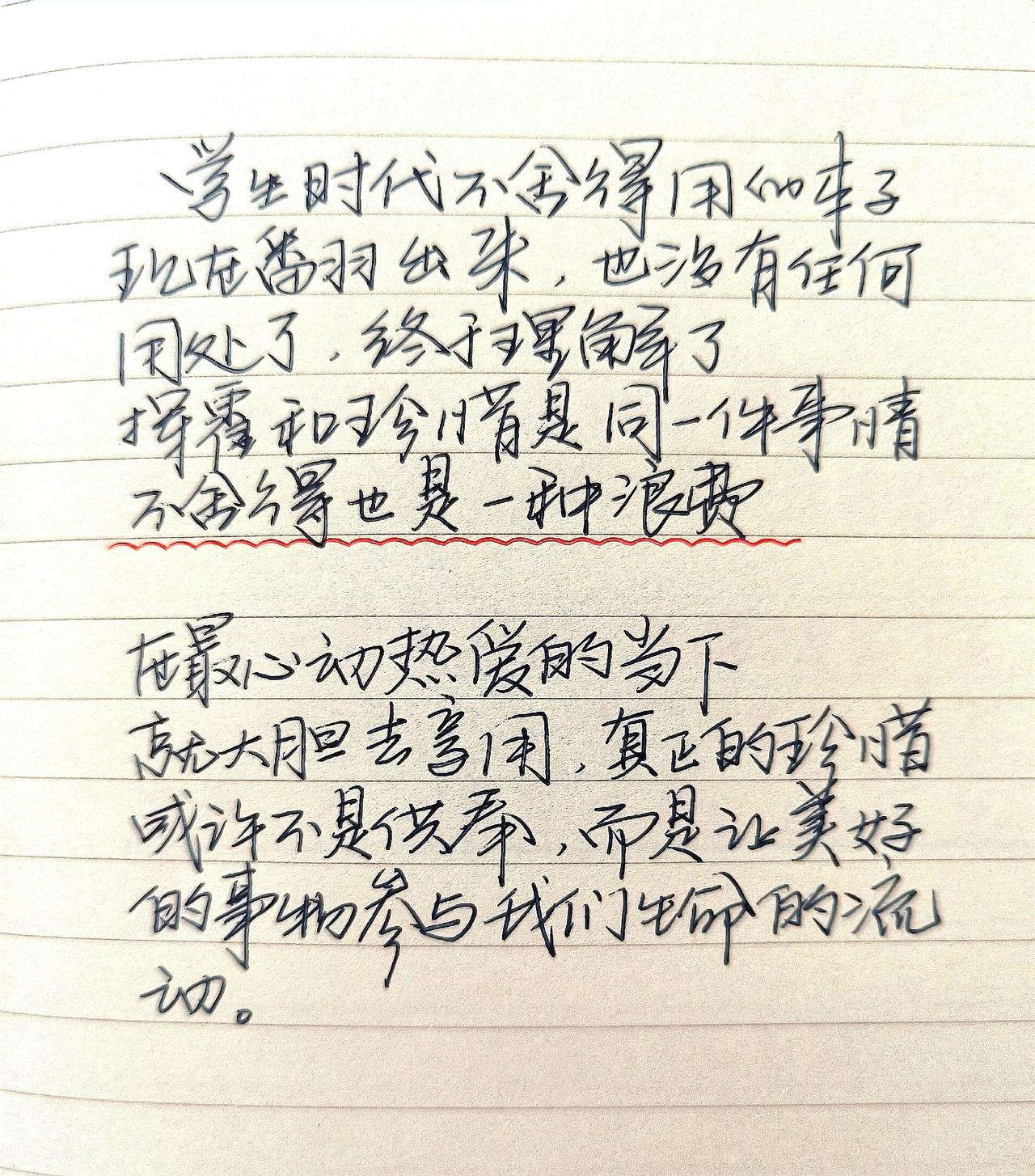 手写文字摘抄手写笔记中的文字与君共勉手写心得笔记