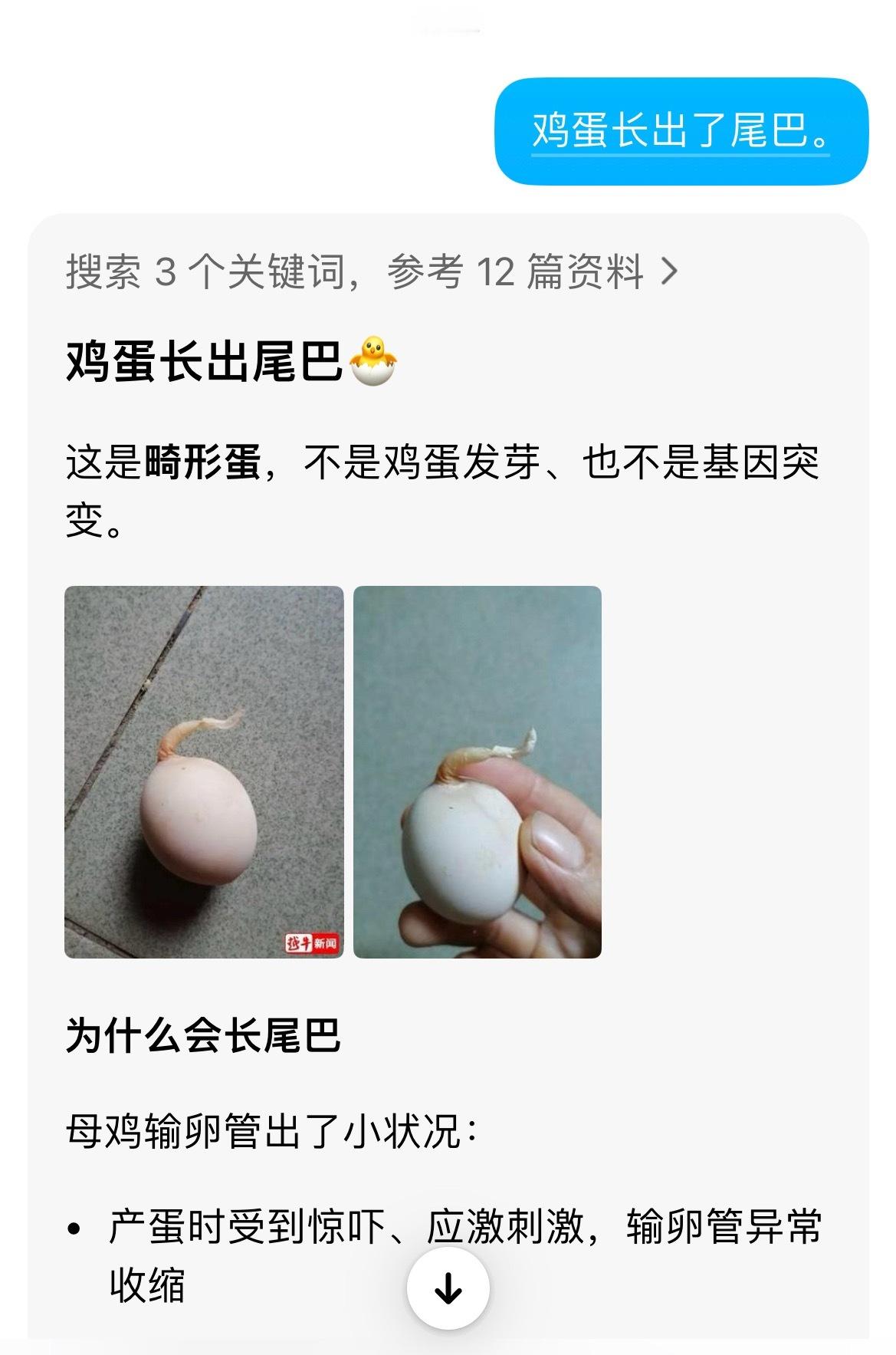 鸡蛋长出5厘米尾巴第一次见这样的鸡蛋，豆包都知道是畸形蛋，哈哈哈它比我先进