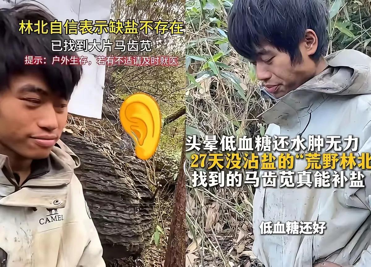 林北找到了马齿苋，含盐的草，也可以当菜吃。喊来了一众兄弟来瓜分这片资源。而冷美