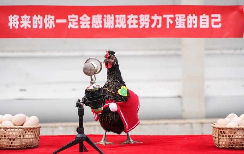 上海移动深夜报案！3名员工穿工服实名举报断网创收，视频下架引全网质疑“每月