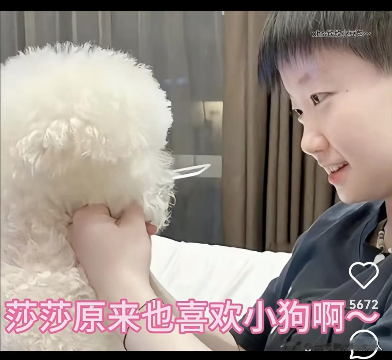 哦，原来如此！孙颖莎忙于训练时，就把狗狗送到了宠物学校，和小