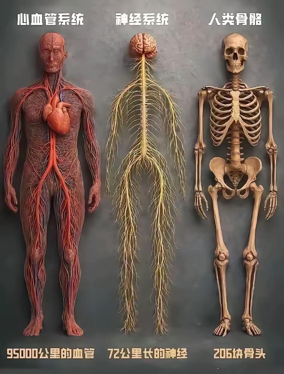 觉醒者，是家族轮回里唯一的破局人网上流传一段关于天道承负的文字，道清了无数觉