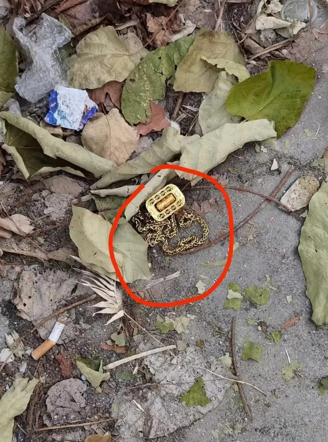 看到个金链子，严重怀疑有人故意设的局，坚决不捡！