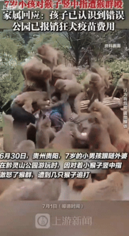 “胆子也太大了！”贵州贵阳，一7岁男孩和外婆在公园玩耍，却突然对着猴子竖起了中指