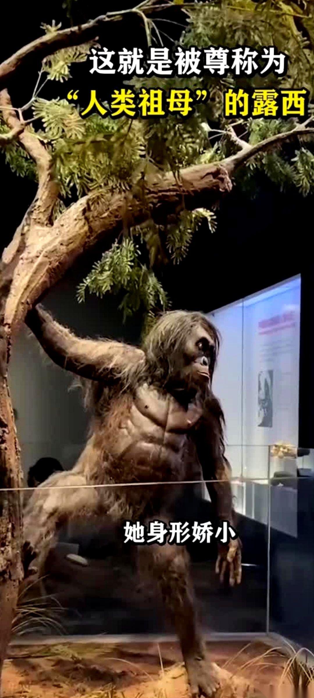 说真的，我今天算是开了眼了。就因为有人说了句“人类是从非洲走出来的”，评论区直