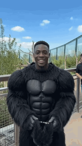 大猩猩:这是个什么玩意