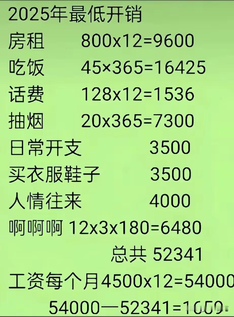 这是一哥们晒的一年的收支账单，别的看着都还差不多，也没乱花钱，都是基本的生活支出