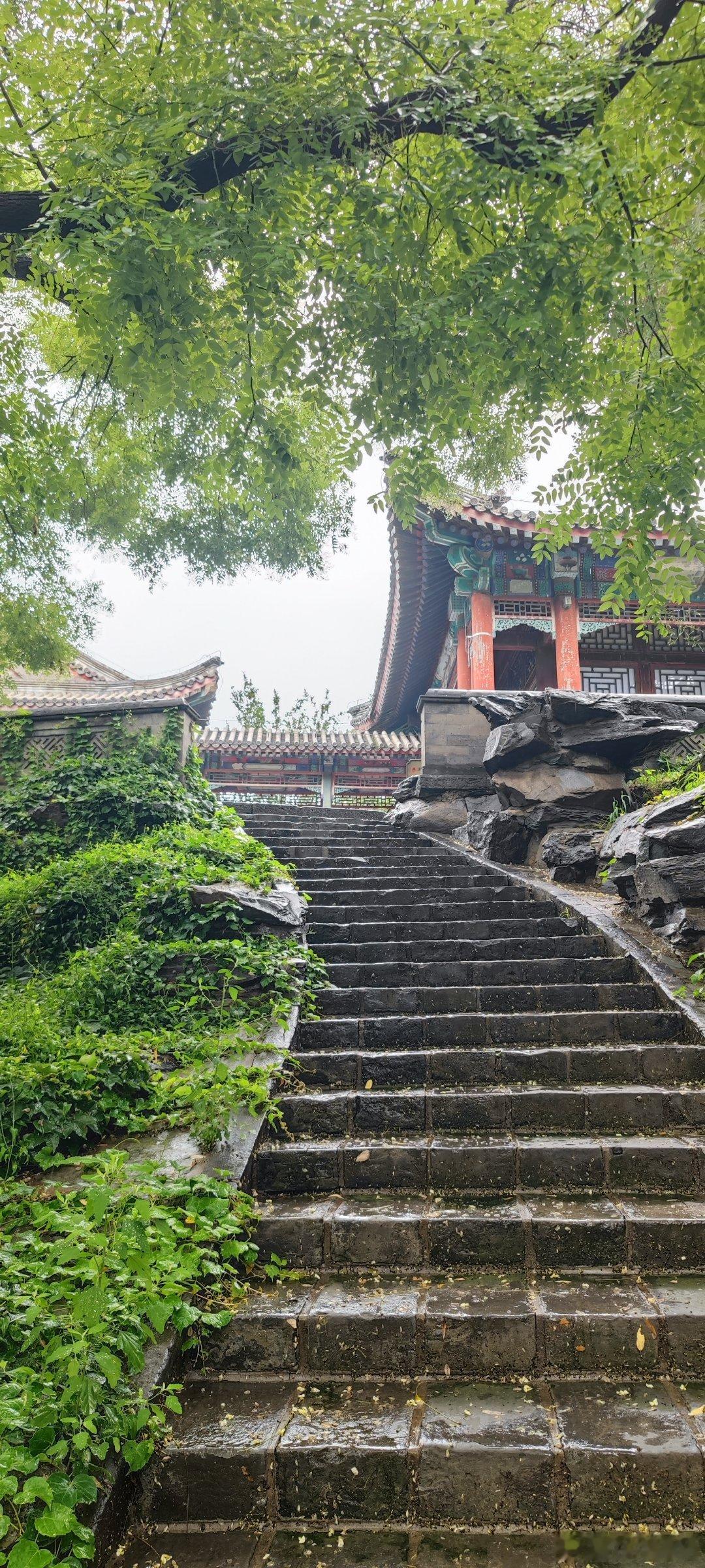 雨后的颐和园摄影​​​