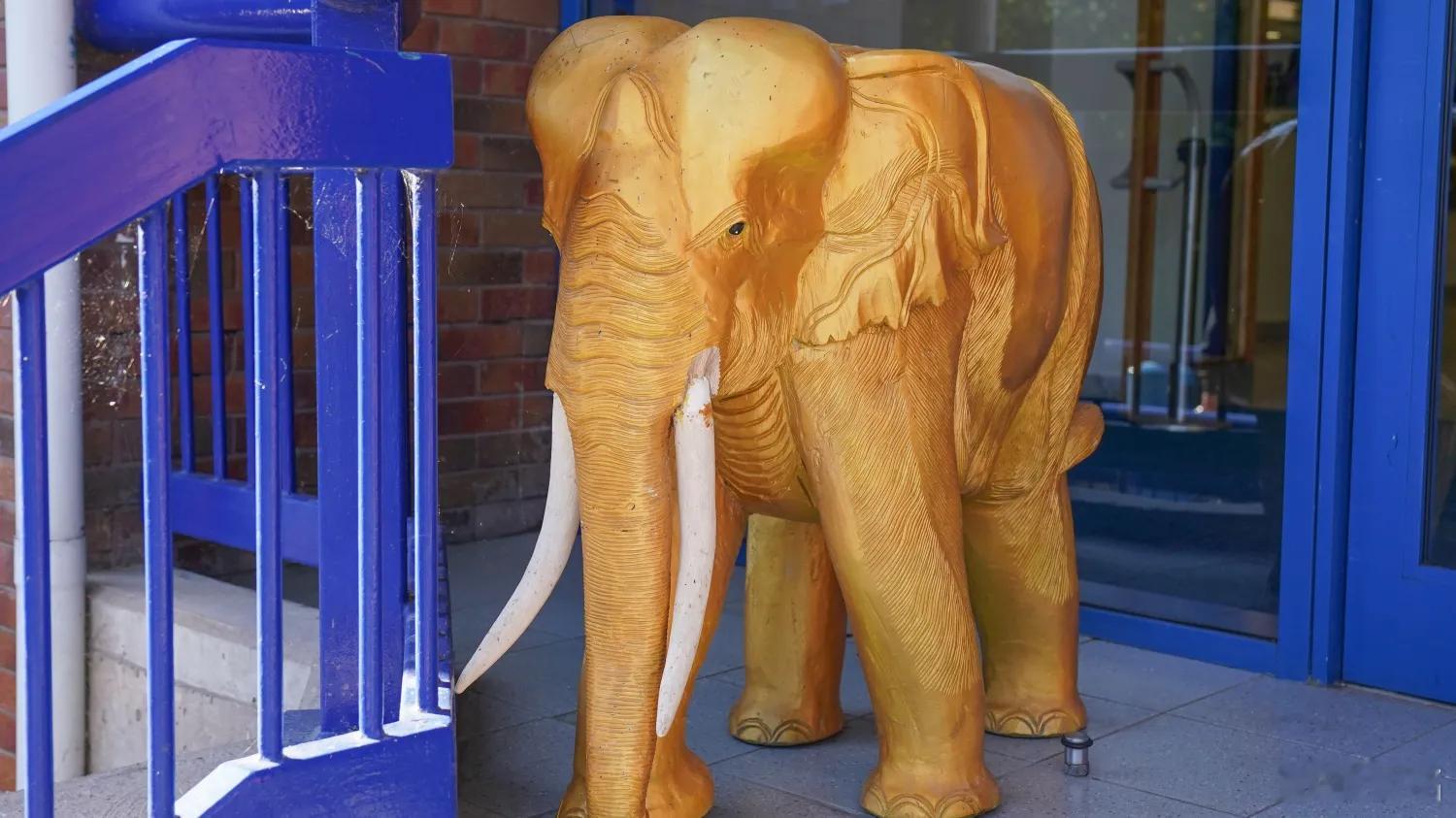 谢周三英冠垫底的谢周三穷到什么程度了呢?负责托管该俱乐部的维格菲尔德指挥俱乐部