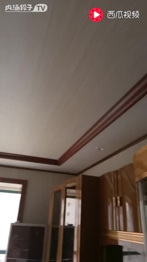 11365287277829024917.jpg?id=0