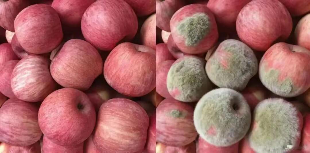 AI技术明明是方便生活的黑科技，却被部分“羊毛党”玩成了骗钱工具！近期不少电商商