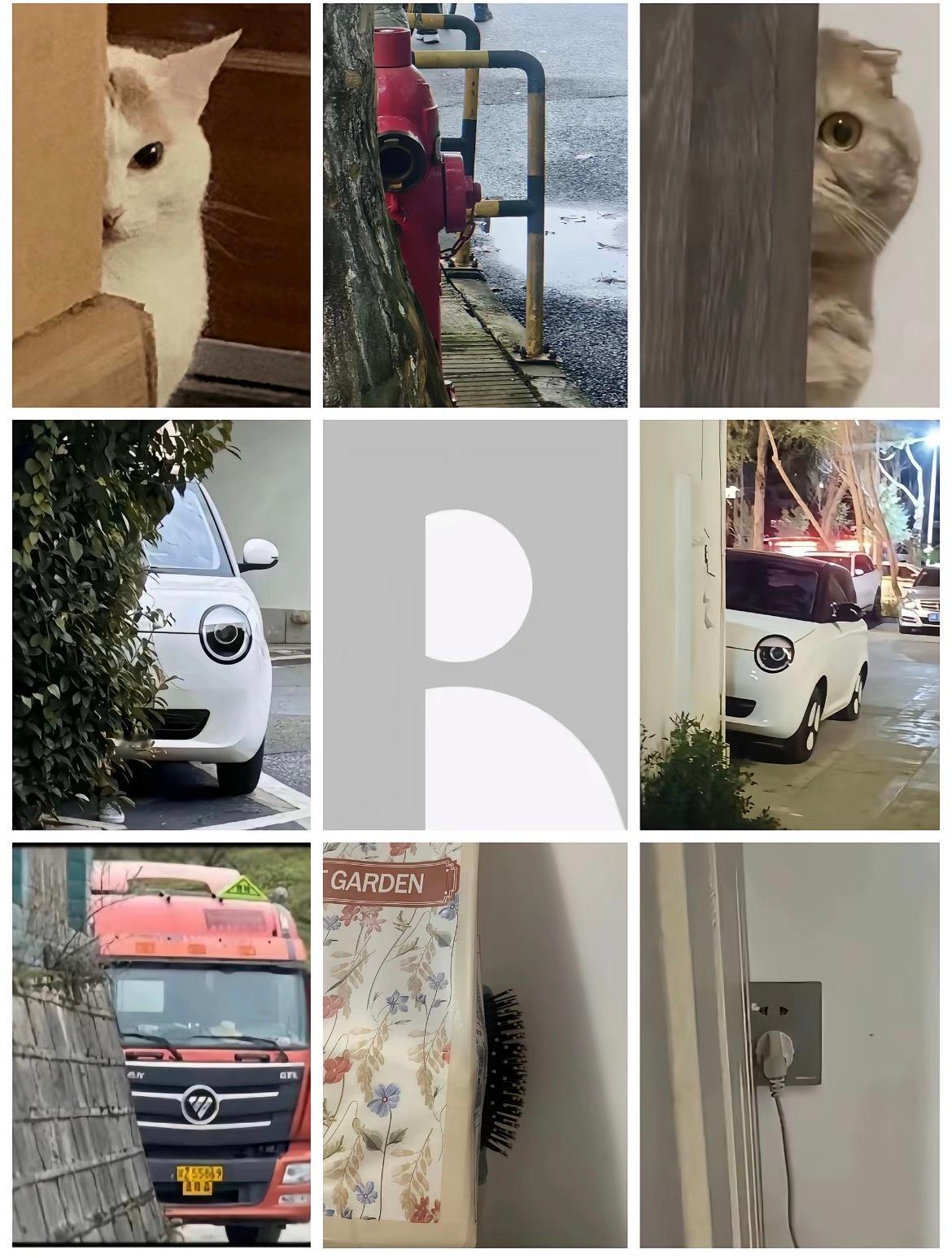 这图为啥能火真的无语[大笑][大笑]​​​