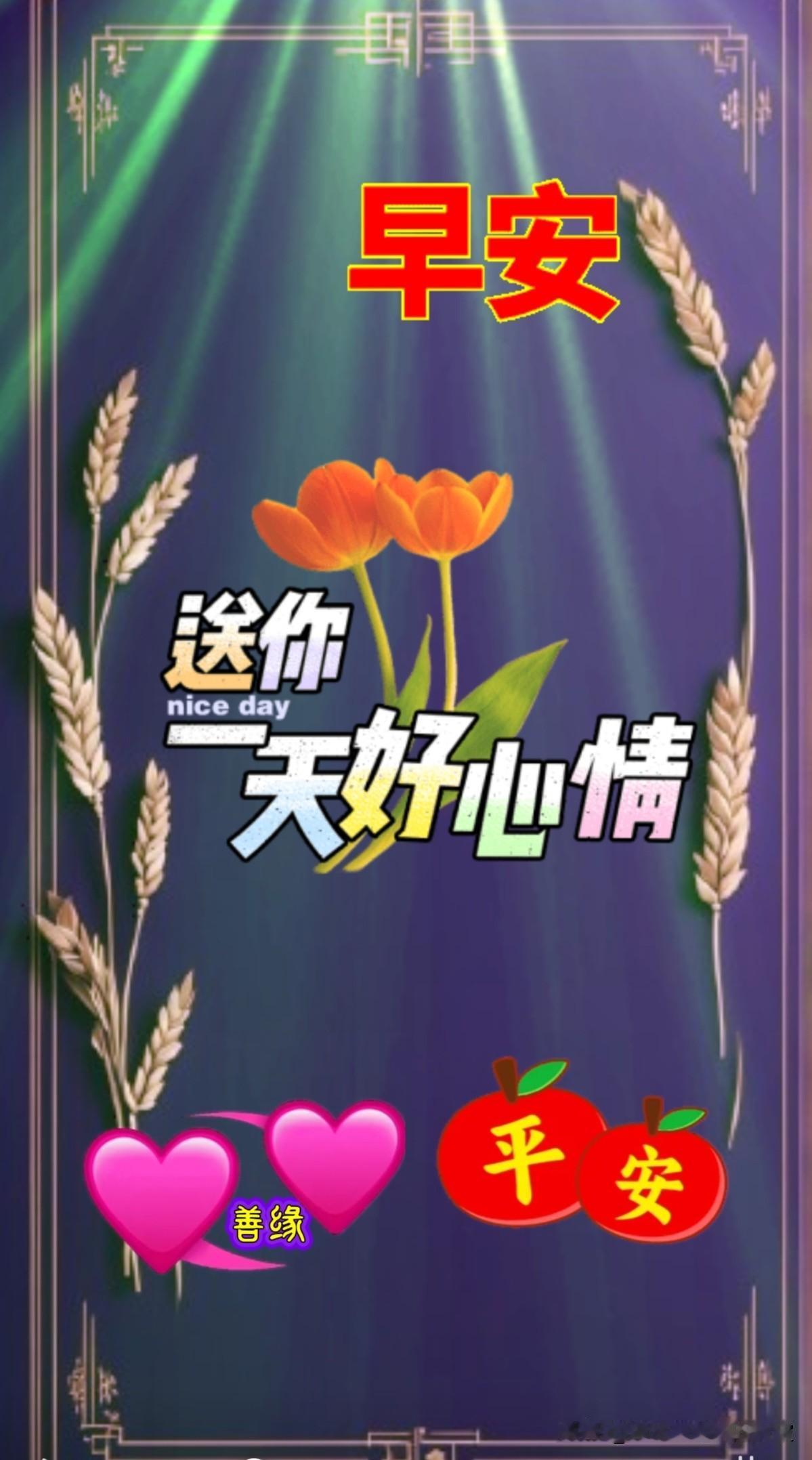 这是一段每日感悟的分享：[祈祷]每日感悟：珍惜当下，活在当下[比心]