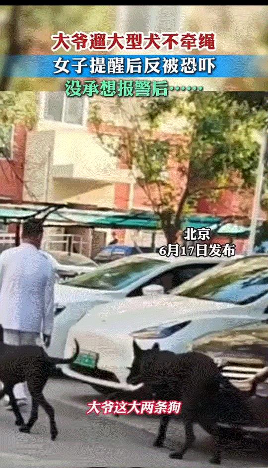太不讲理了。北京，一大爷带着两只超大型黑狗出来溜达，但这位大爷根本就没有拴绳文明