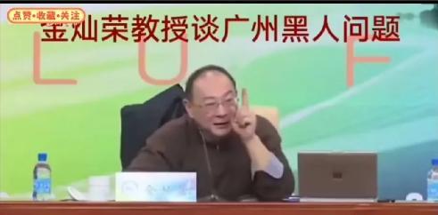 金灿荣:广州黑人问题，必须要高度重视起来！广州作为国际化大都市，吸引了不少外国