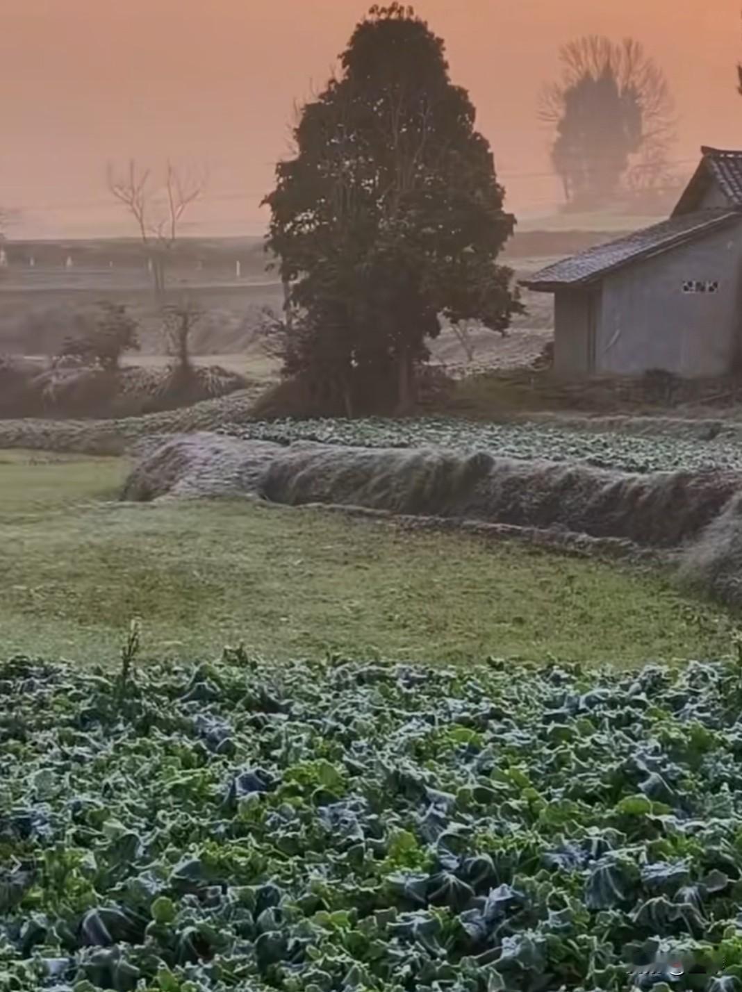 比养老更扎心的是“新型不孝”。俗话说“养儿防老”，可现实往往比剧本更荒诞，