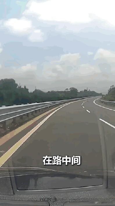 “上人民日报了！”江西男子开车在国道上疾驰，突然发现路中间有个小黑点。男子警惕的