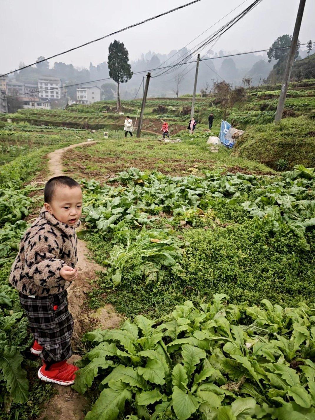 我们走在大路上，意气风发，斗志昂扬。