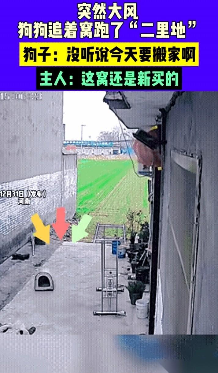 饭吃得好好的，一抬头，家没了。真没了。就眼睁睁看着自己的窝，被一阵妖风连根拔