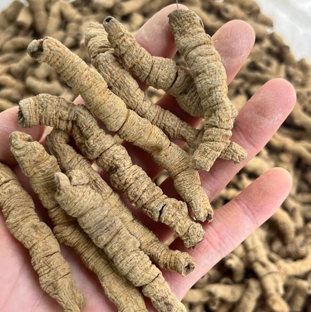 我的方子不保密，阳痿早泄患者存好了！临床中，阳痿早泄并非孤立病症，常与慢性