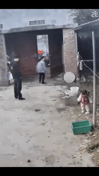 小女孩正要跟着爸爸、奶奶一起出门。结果却突然遭到自家养的大公鸡的袭击！女孩的