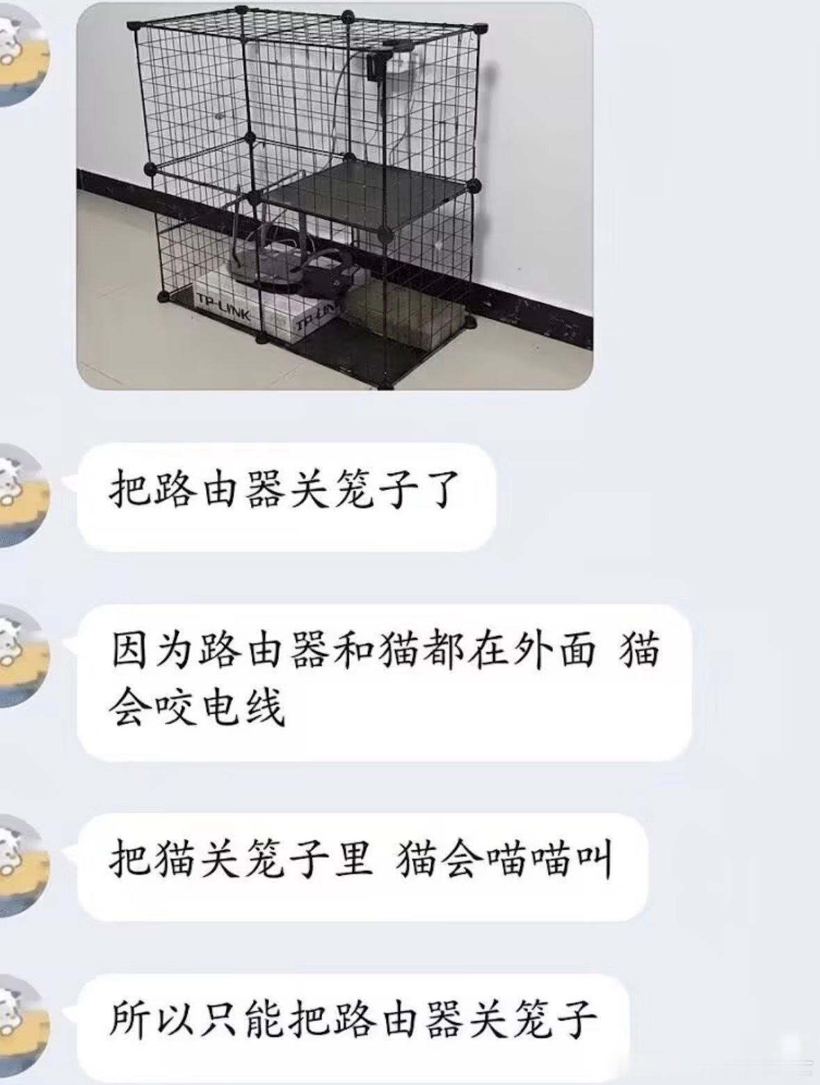 光猫也是猫！
