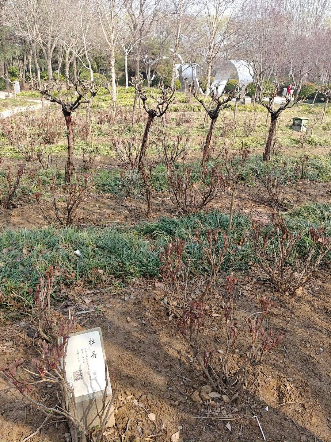 刚开春，就头疼脑热上火受寒，是人体发散过头，要吃点酸，酸能收敛。焦虑症抑郁症长