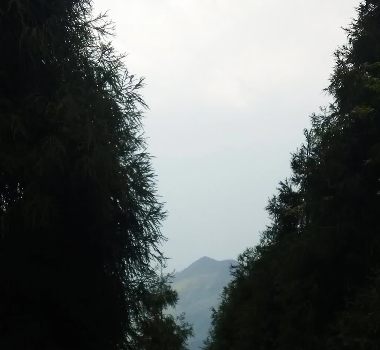 昨天从山顶下山，坡太陡了，用了发动机牵制力控制车速，平常我都很少踩刹车，昨天下山