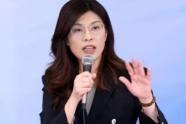 郑丽文说很多事要等国民党在2028年赢过民进党后，才能实现，才能将自己的主张推行