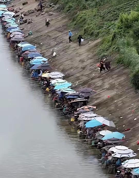 据说现场针都插不进！