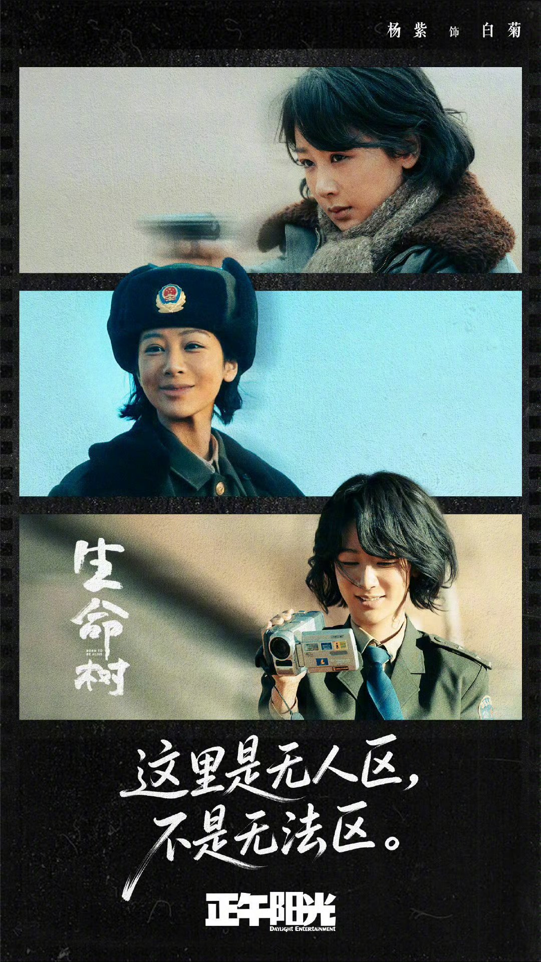 杨紫三战白玉兰，玉兰花开了杨紫三战白玉兰