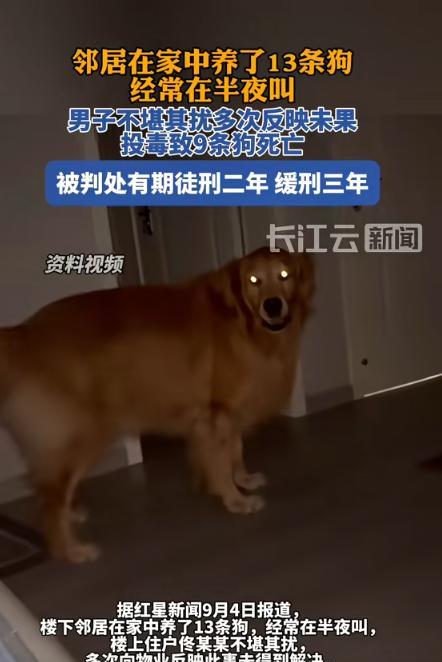代价太大了！内蒙古通辽，邻居在家养了13条狗，经常在半夜狂叫，男子不堪其扰，多次