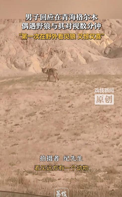 “胆子真大！”9月20日，青海格尔木，一男子开车行驶在戈壁滩上，忽然看到远处有只