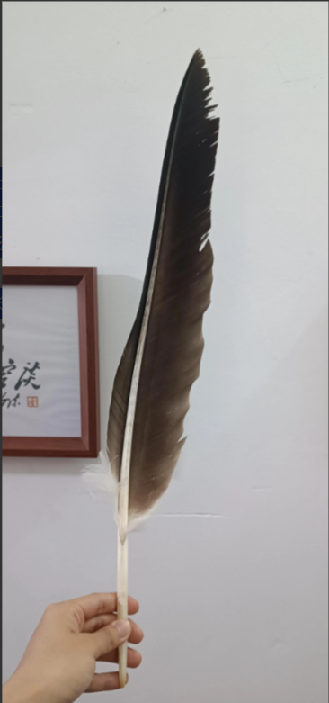 自从学生开始强制休周末后，老家的小县城出现了几个现象。1.一到周末，街上就会初