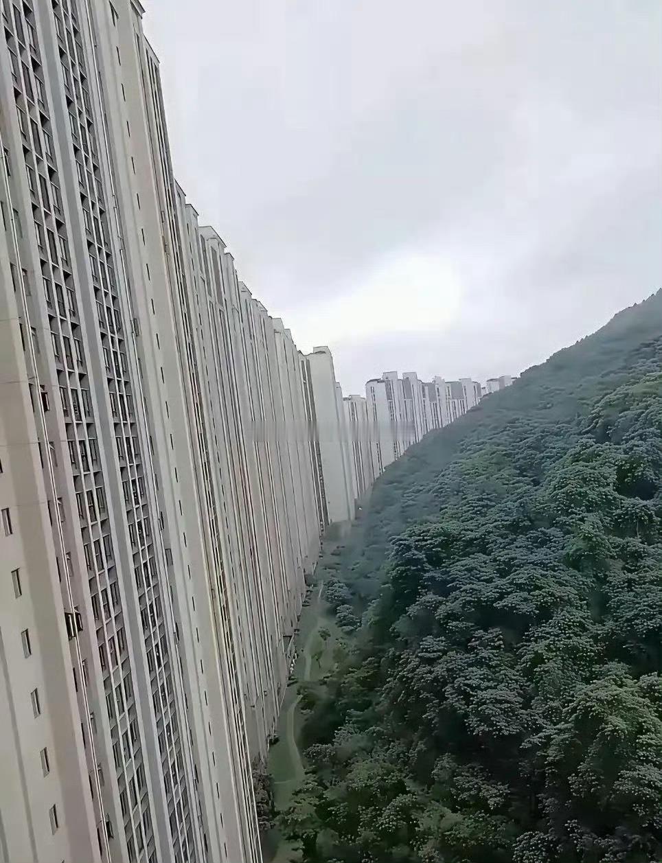 这是贵州哪里的小区？入住率应该很高吧​​​